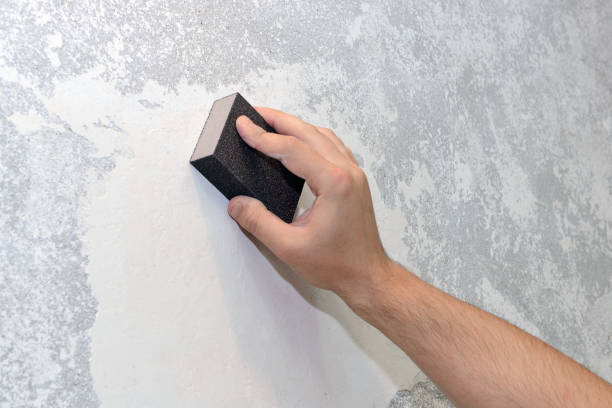 Best Mold Damage Restoration  in Lincolnshire, IL