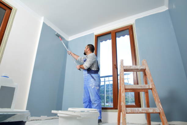 Best Mold Documentation for Insurance Claims  in Lincolnshire, IL