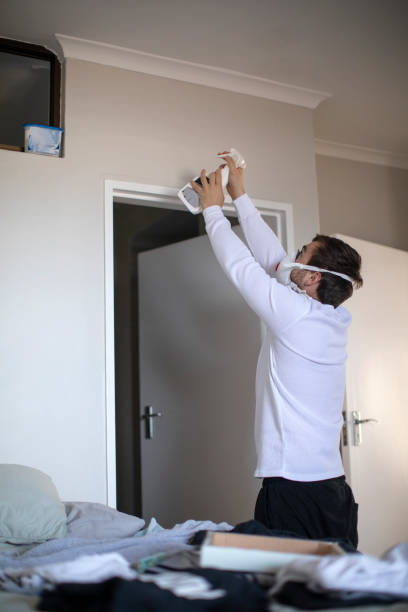 Best Mold Odor Removal Services  in Lincolnshire, IL