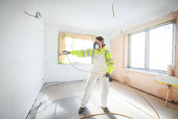 Best Black Mold Removal  in Lincolnshire, IL