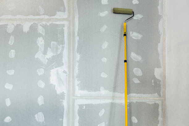 Forensic Mold Investigation in Lincolnshire, IL