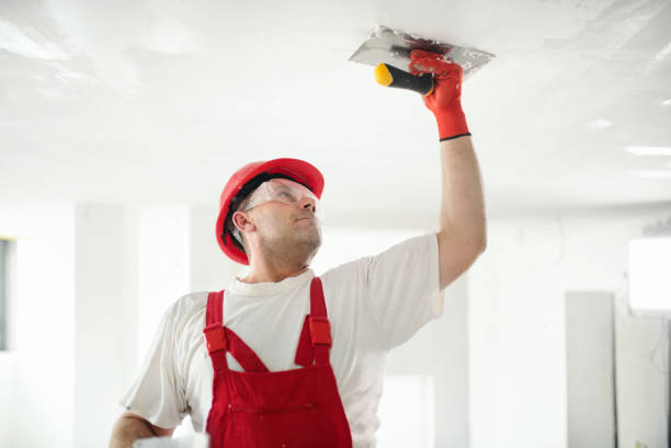 Best Mold-Related Health Consultation  in Lincolnshire, IL