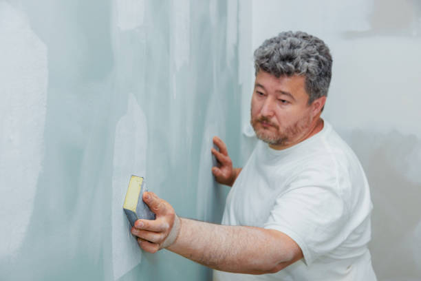 Best Air Quality Testing for Mold Spores  in Lincolnshire, IL