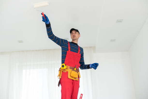 Best Residential Mold Inspection & Testing  in Lincolnshire, IL