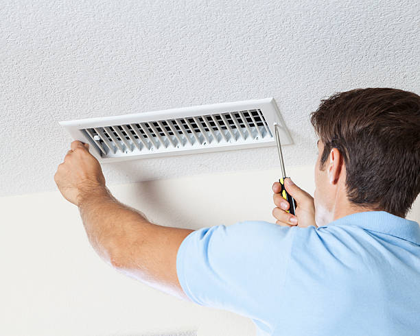 Best Crawl Space Mold Remediation  in Lincolnshire, IL
