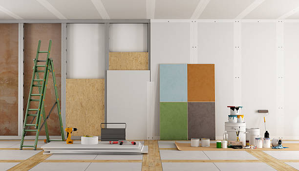 Professional Mold Removal in Lincolnshire, IL